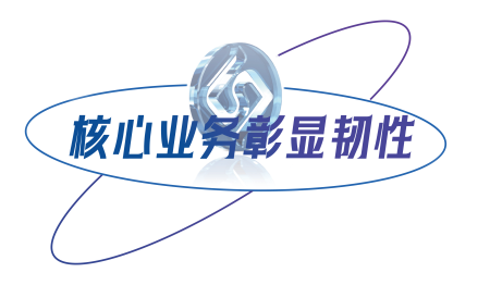 核心业务彰显韧性(1).png
